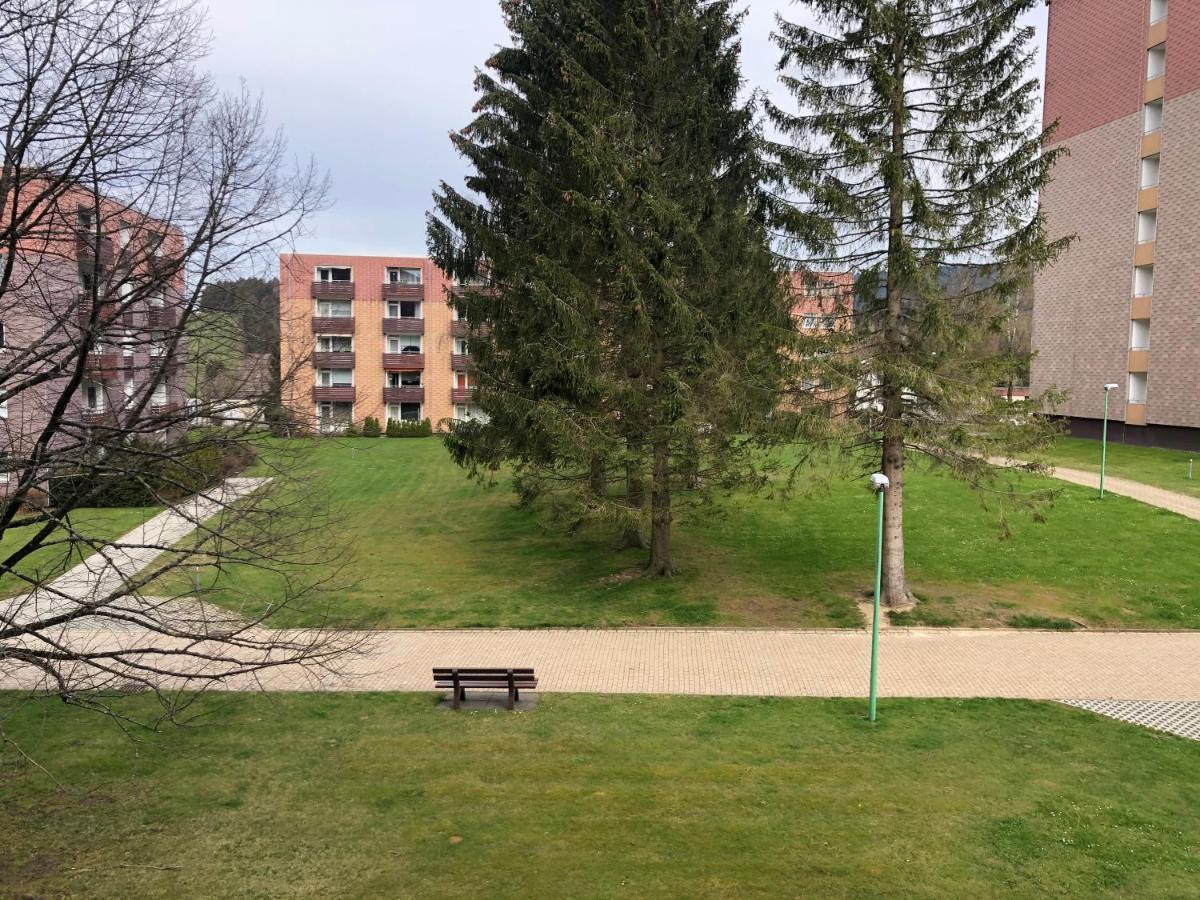 Hans Im Glueck Apartment Altenau (Lower-Saxony)