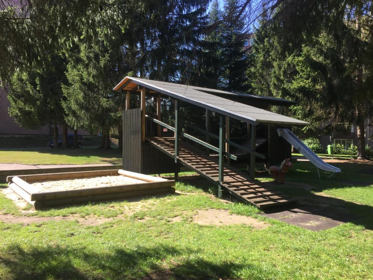 Hans Im Glueck Apartment Altenau (Lower-Saxony)